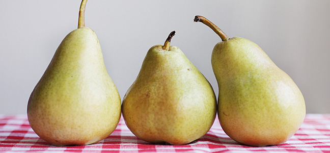 Intensivlehrgang zum Ganzheitlichen Ernährungsberater